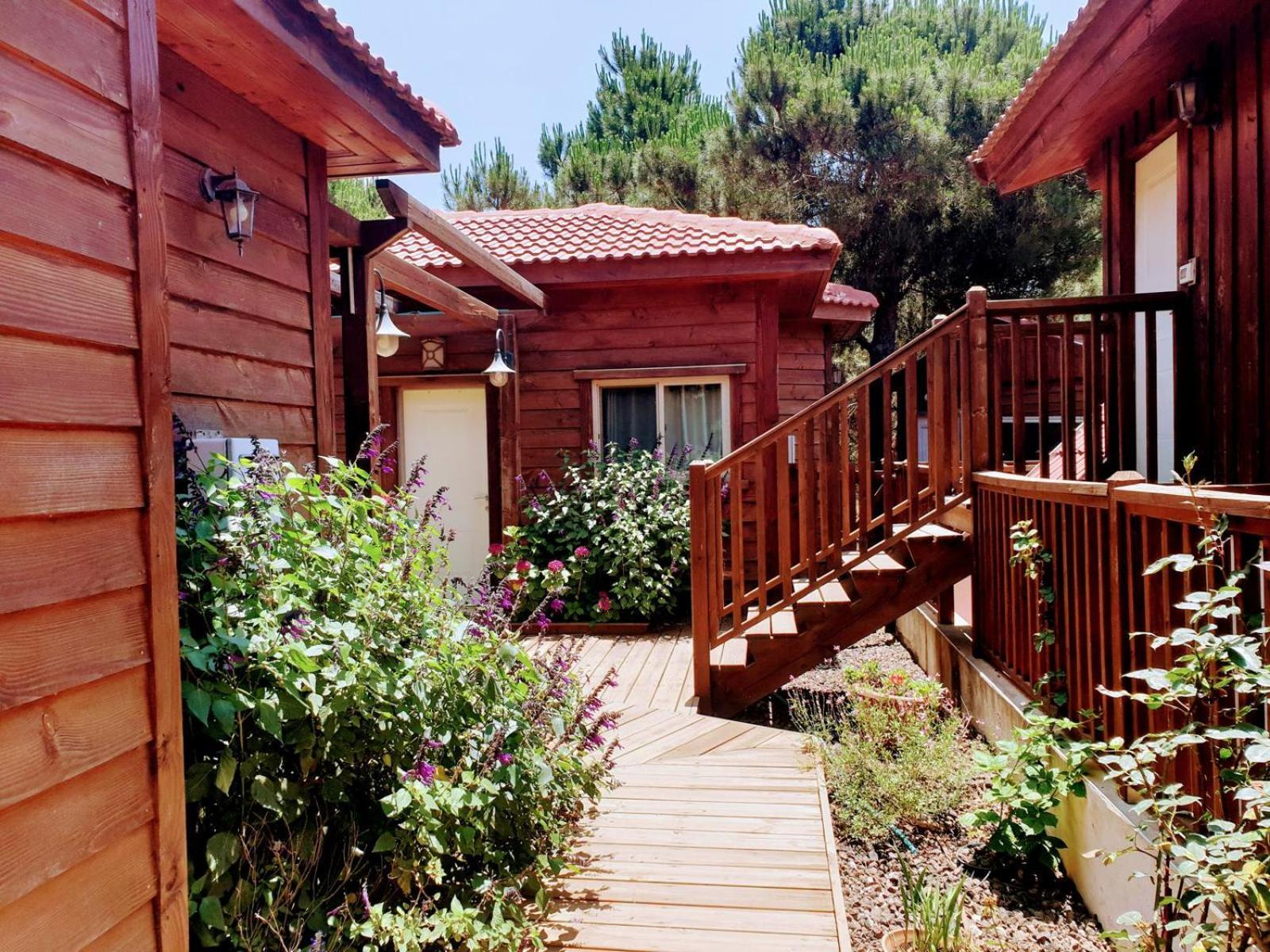 Belev Odem Hotel Екстериор снимка
